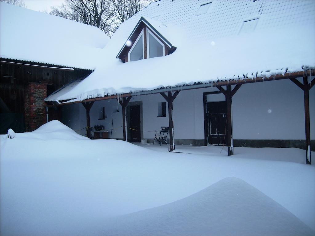 Penzion U Dvojice Nove Mesto na Morave Luaran gambar